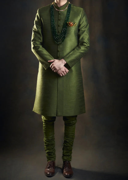 Classic Olive Green Sherwani with Collar Embroidered
